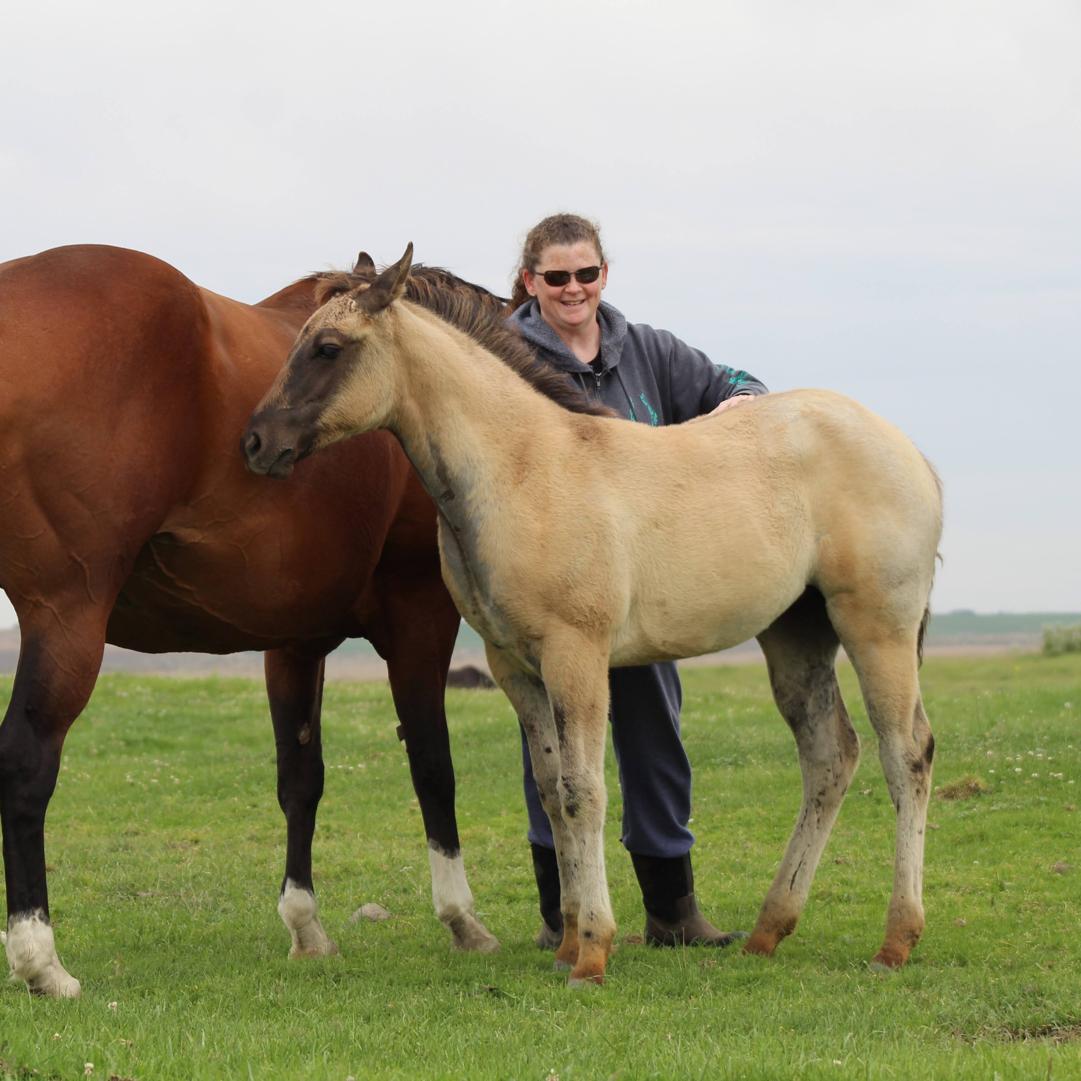 Java and Janice June 2020