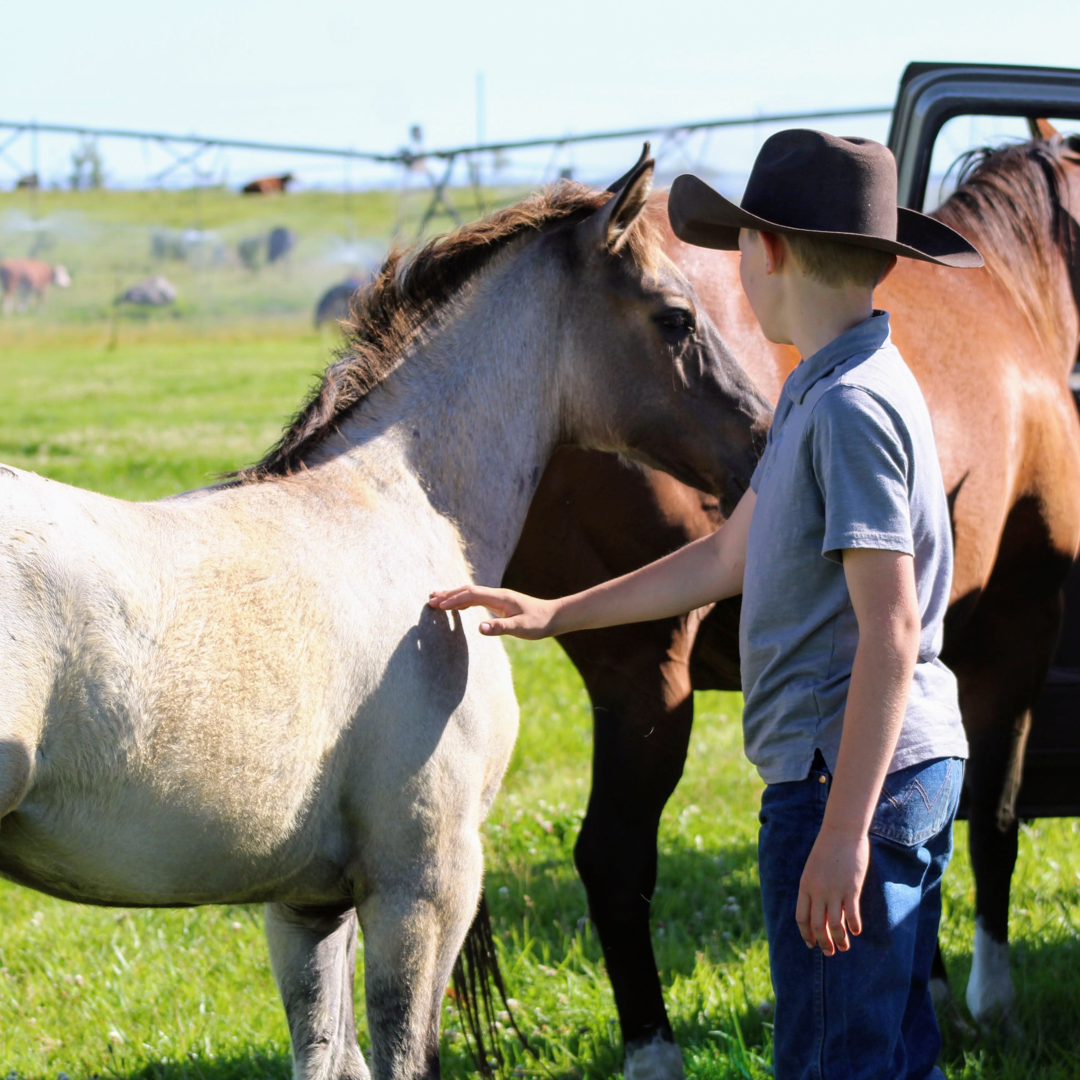 Java with Colter June 2020