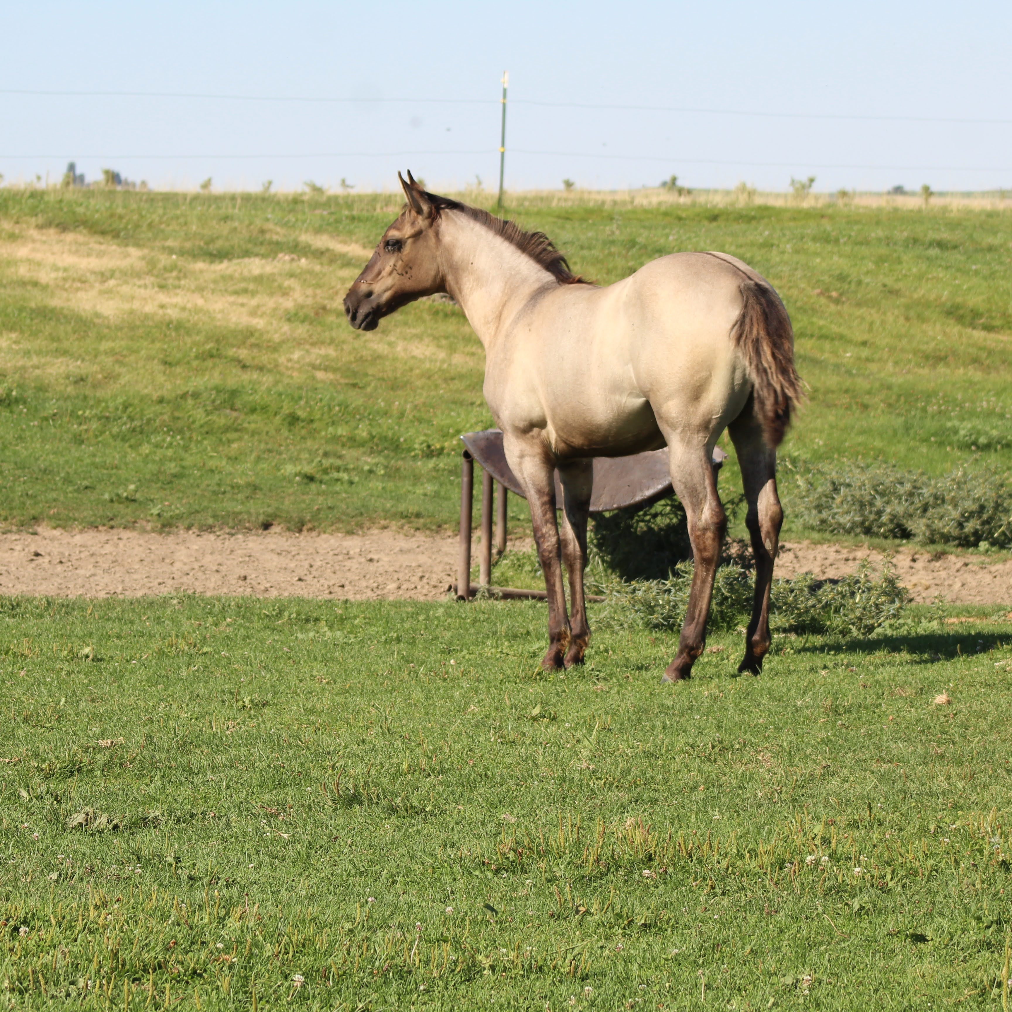 Java July 2020