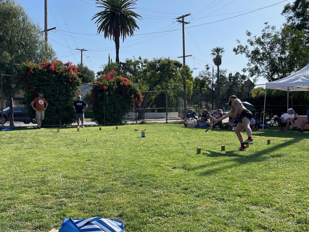 Photo from West Coast Kubb Championships in South Pasadena, California.