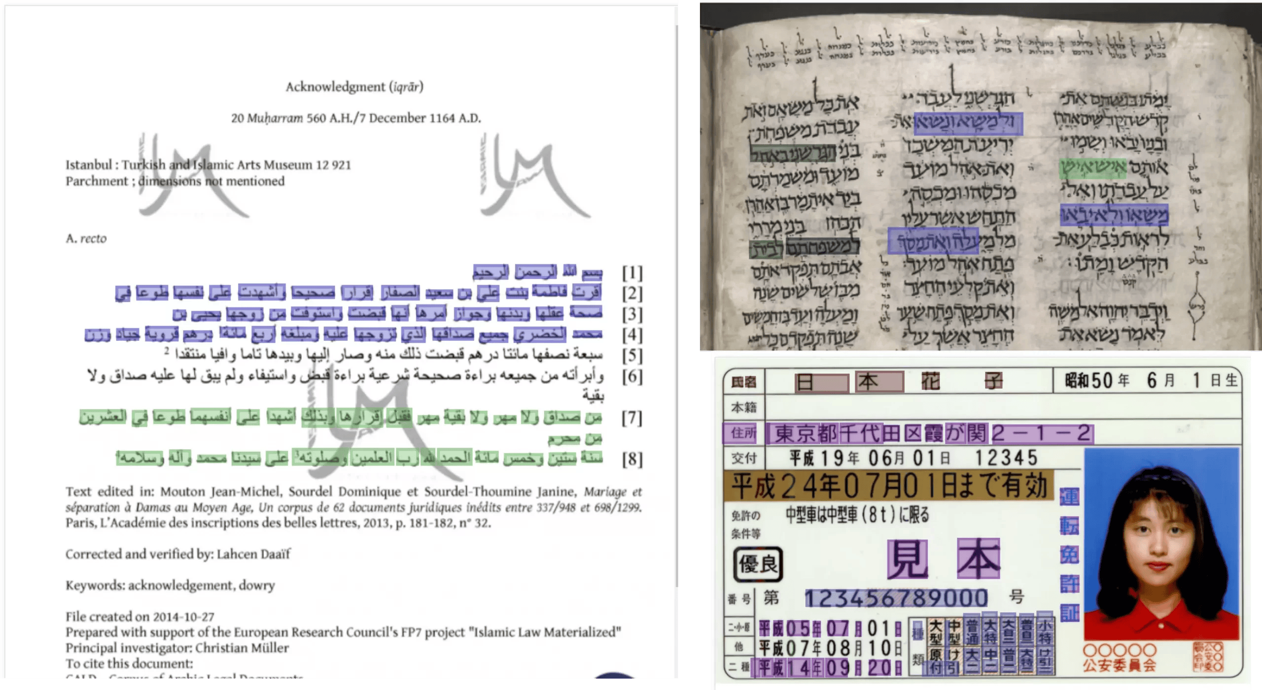 Examples of multilingual documents: Arabic script, Hebrew text, and a Japanese ID card, showcasing OCR capabilities for diverse data input.