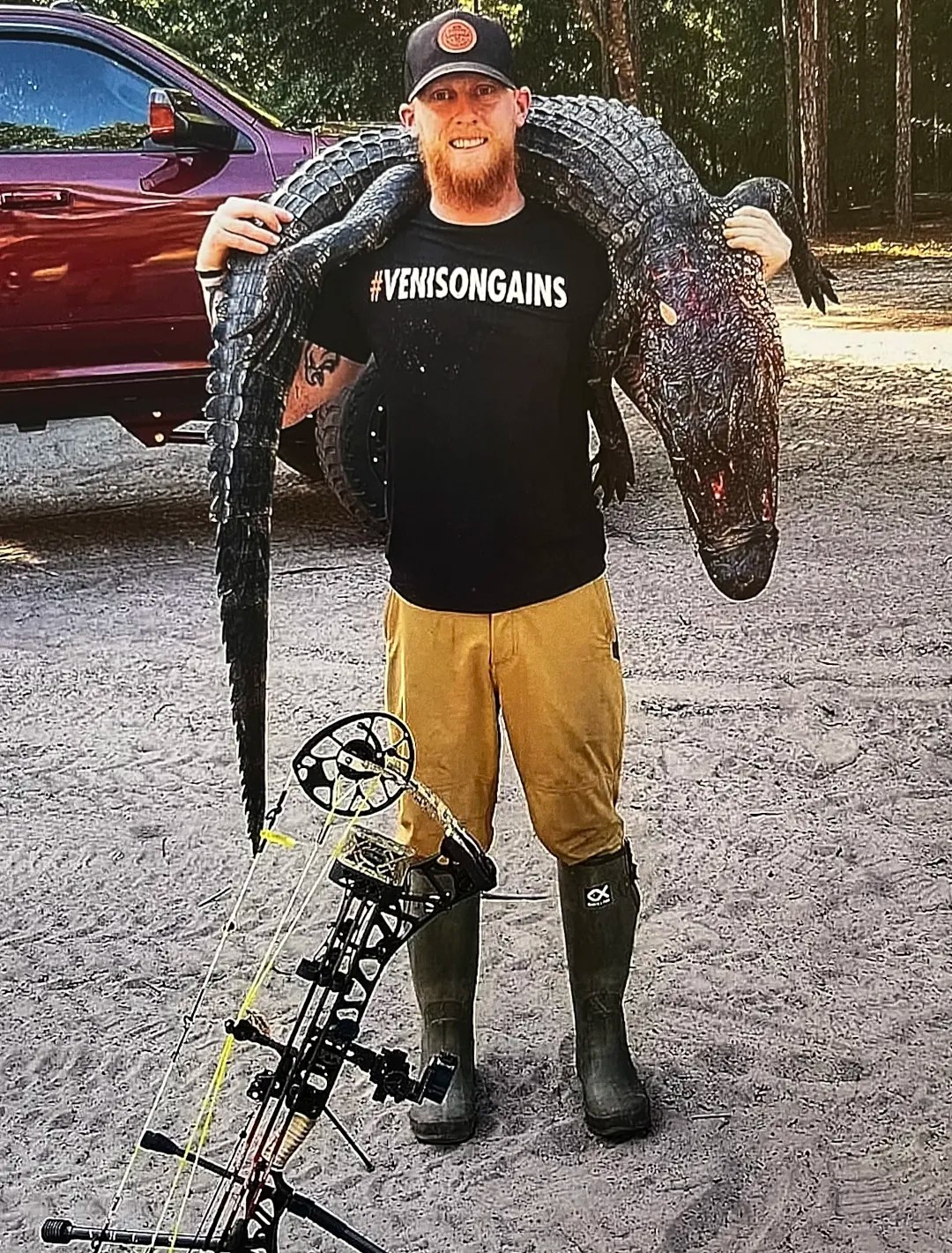 Alligator