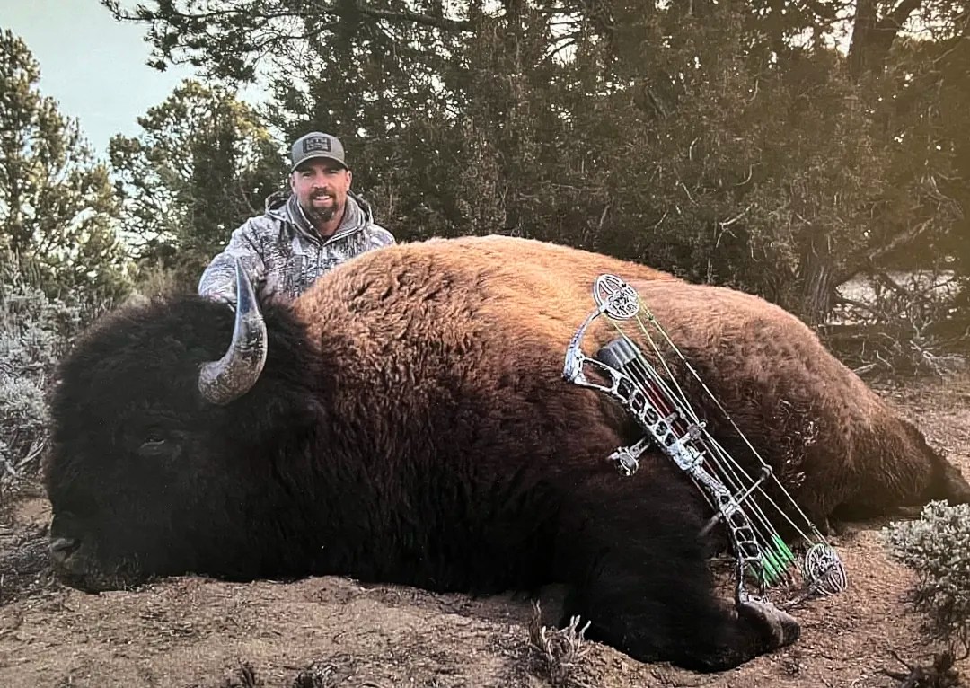 Bison