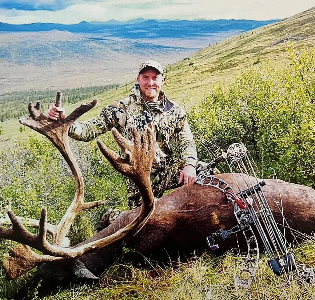 Caribou