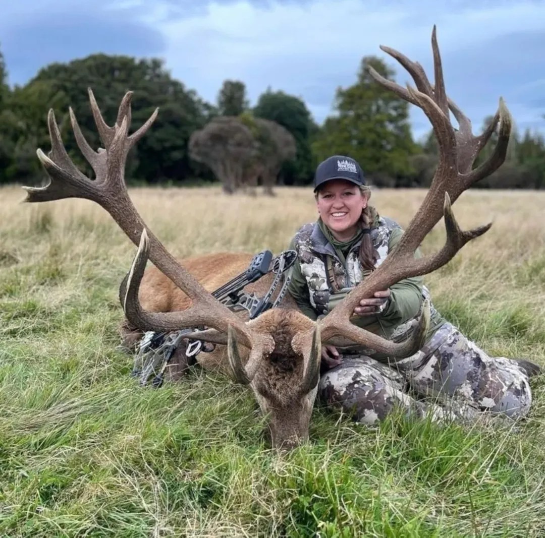 Stag