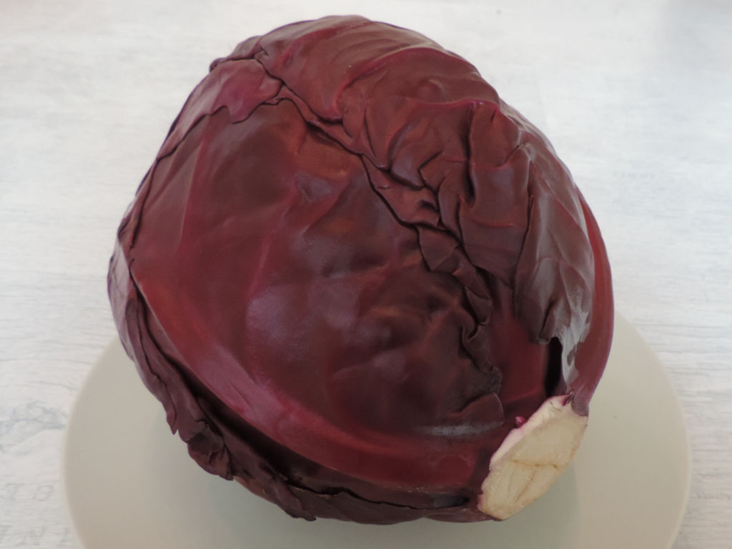 Rotkraut – KÜCHENKUNST