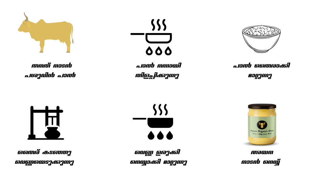 നാടൻ നെയ്യ്