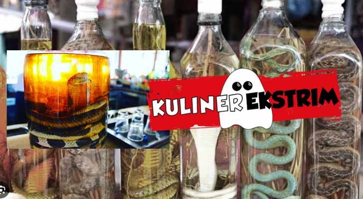 Kuliner Ekstrim Vietnam 7 Hidangan Keberanian yang Wajib Dicoba