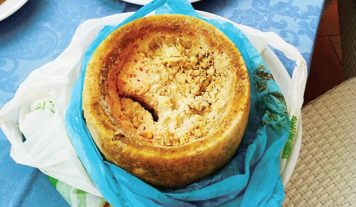 Casu Marzu, Keju Hidup Dari Sardinia Italia Yang Penuh Tradisi Dan Kontroversi.