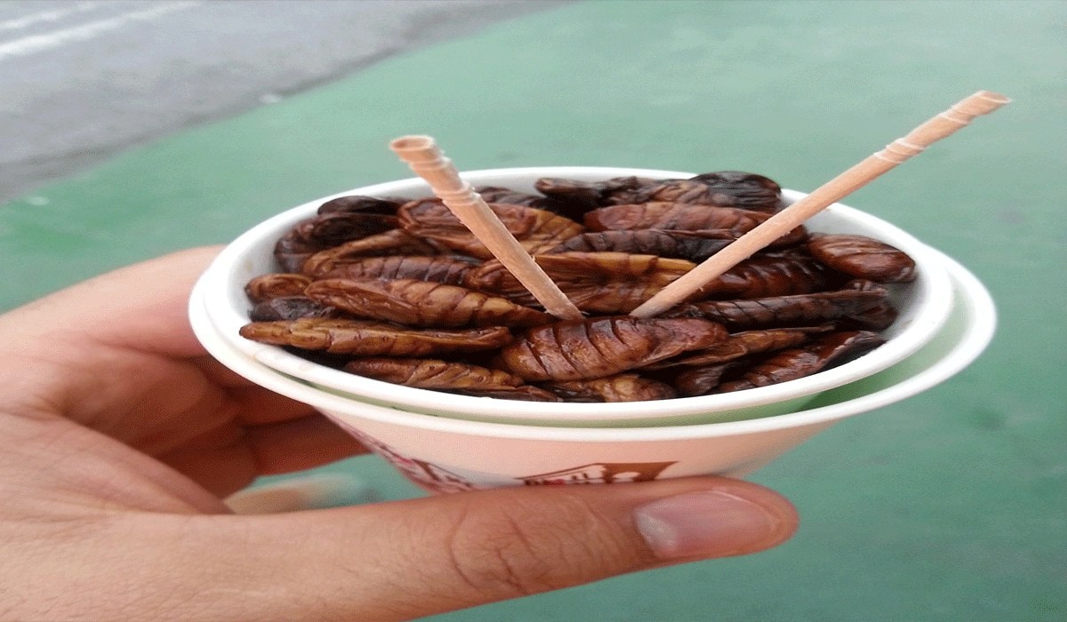 Beondegi: Jajanan Kepompong Korea Yang Kaya Rasa Dan Nutrisi