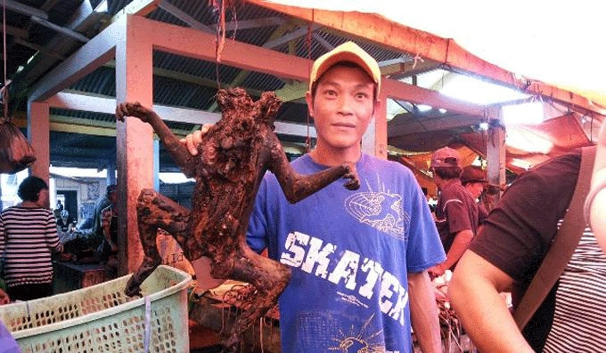 Monyet Panggang Manado: Makanan Ekstrim Berbalut Tradisi Dan Rasa