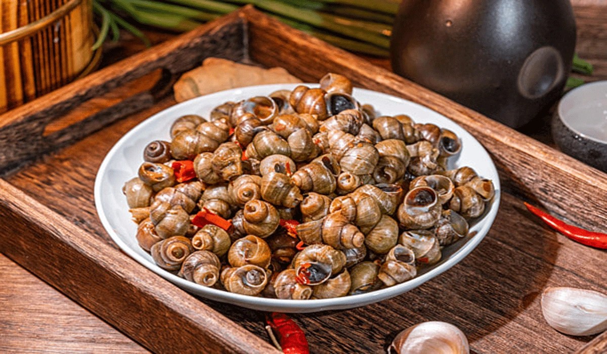 Sensasi Pedas Dan Renyah Siput Goreng India Yang Bikin Ketagihan