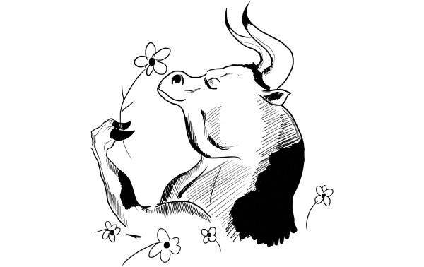 Seite Lustige Naturgeschichte Oder Zoologia Comica Djvu 66 Wikisource