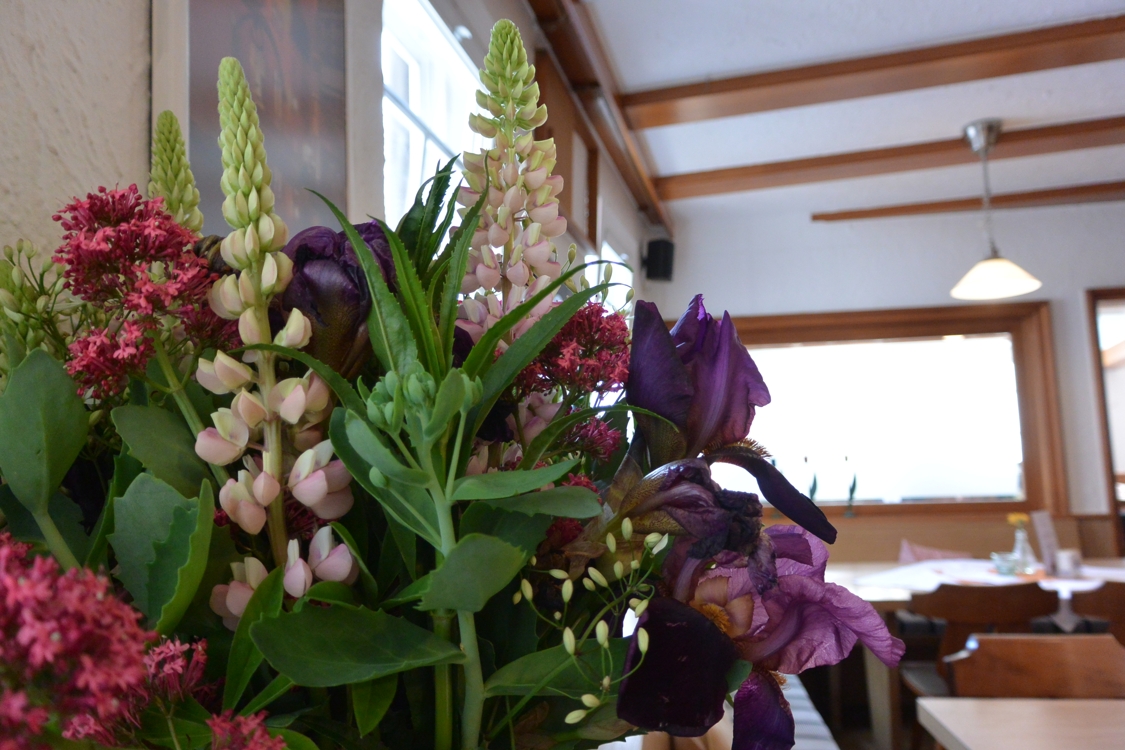 Lupinen und Iris