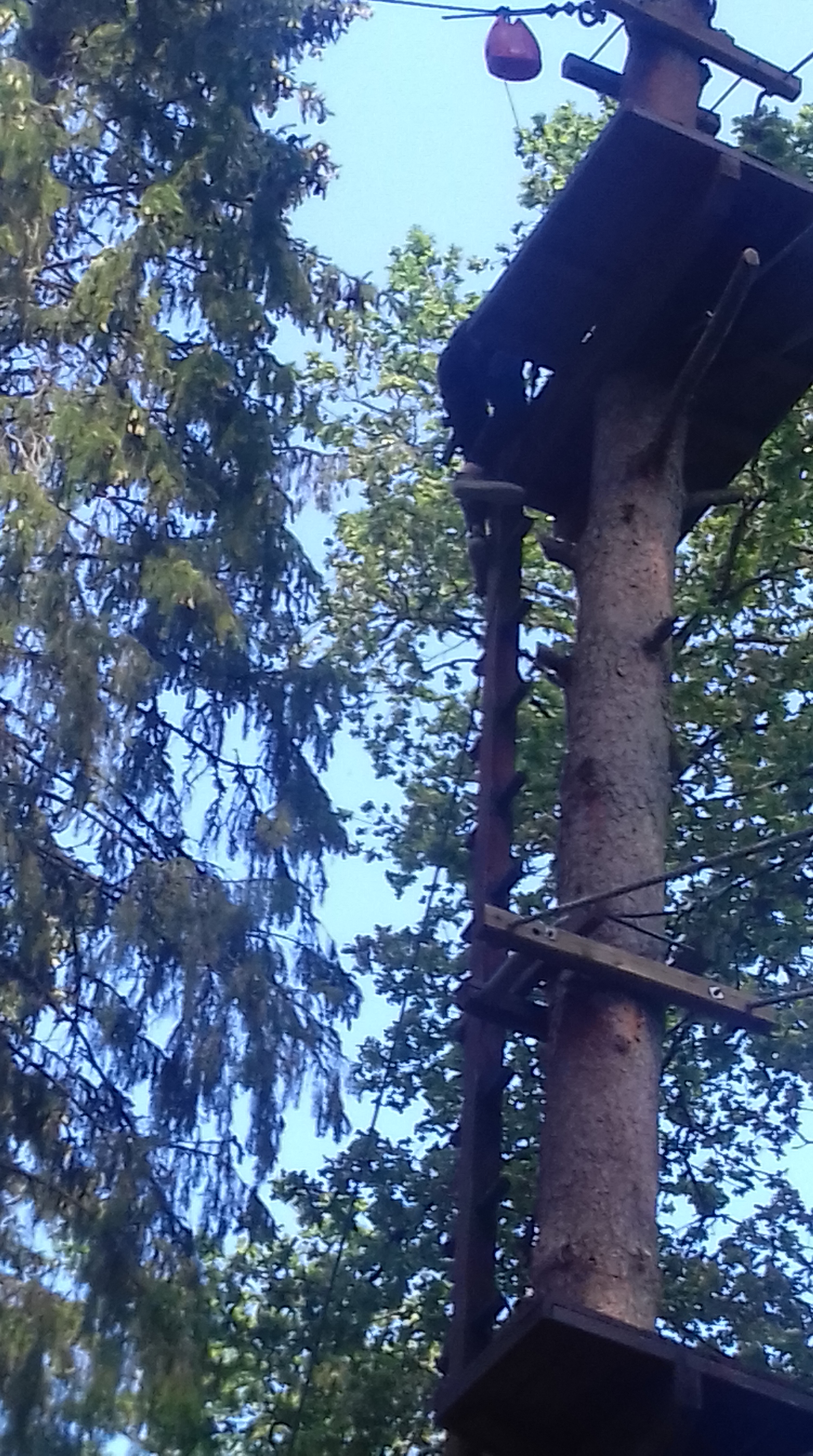 20190608_144339