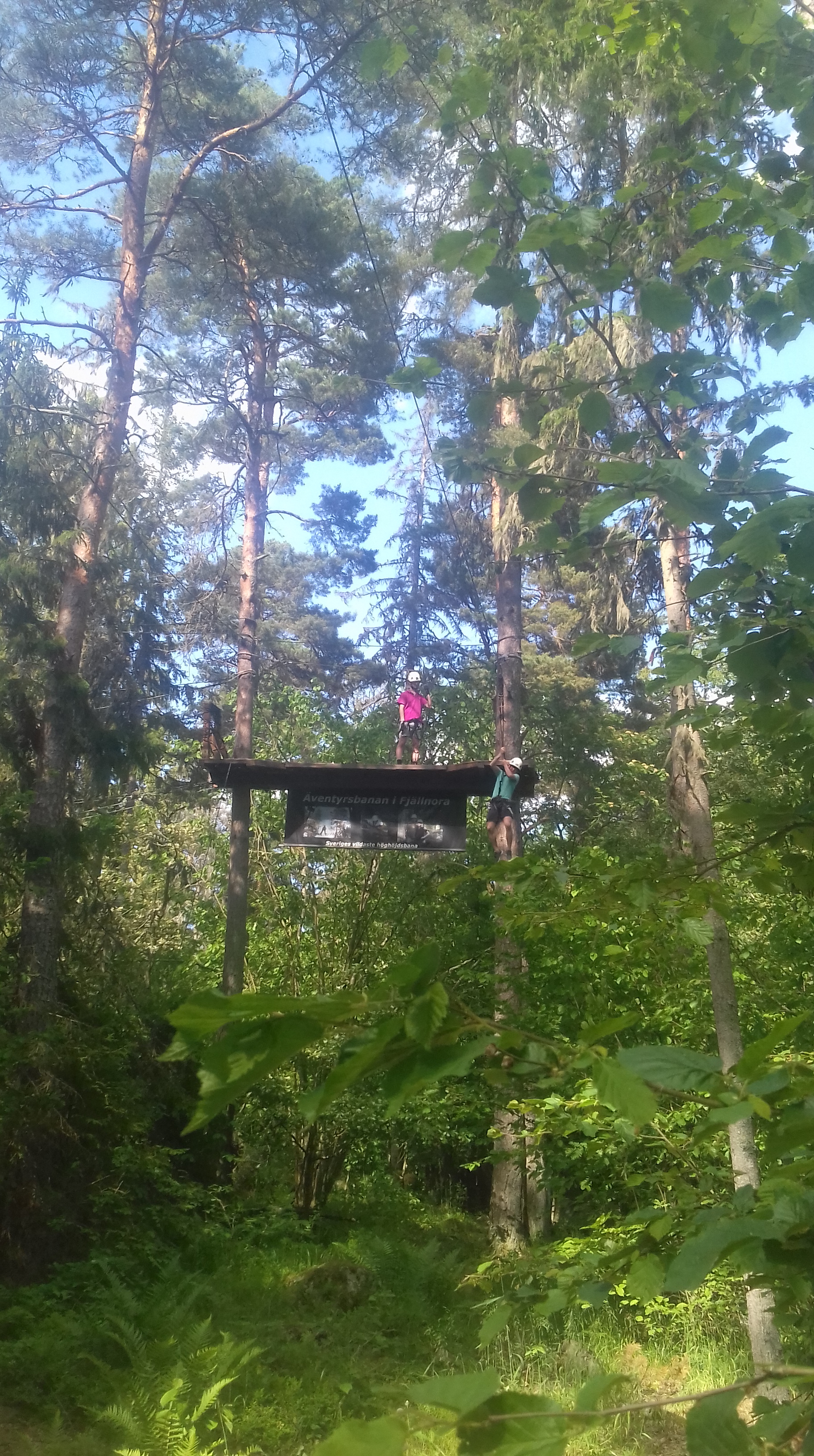 20190608_154142