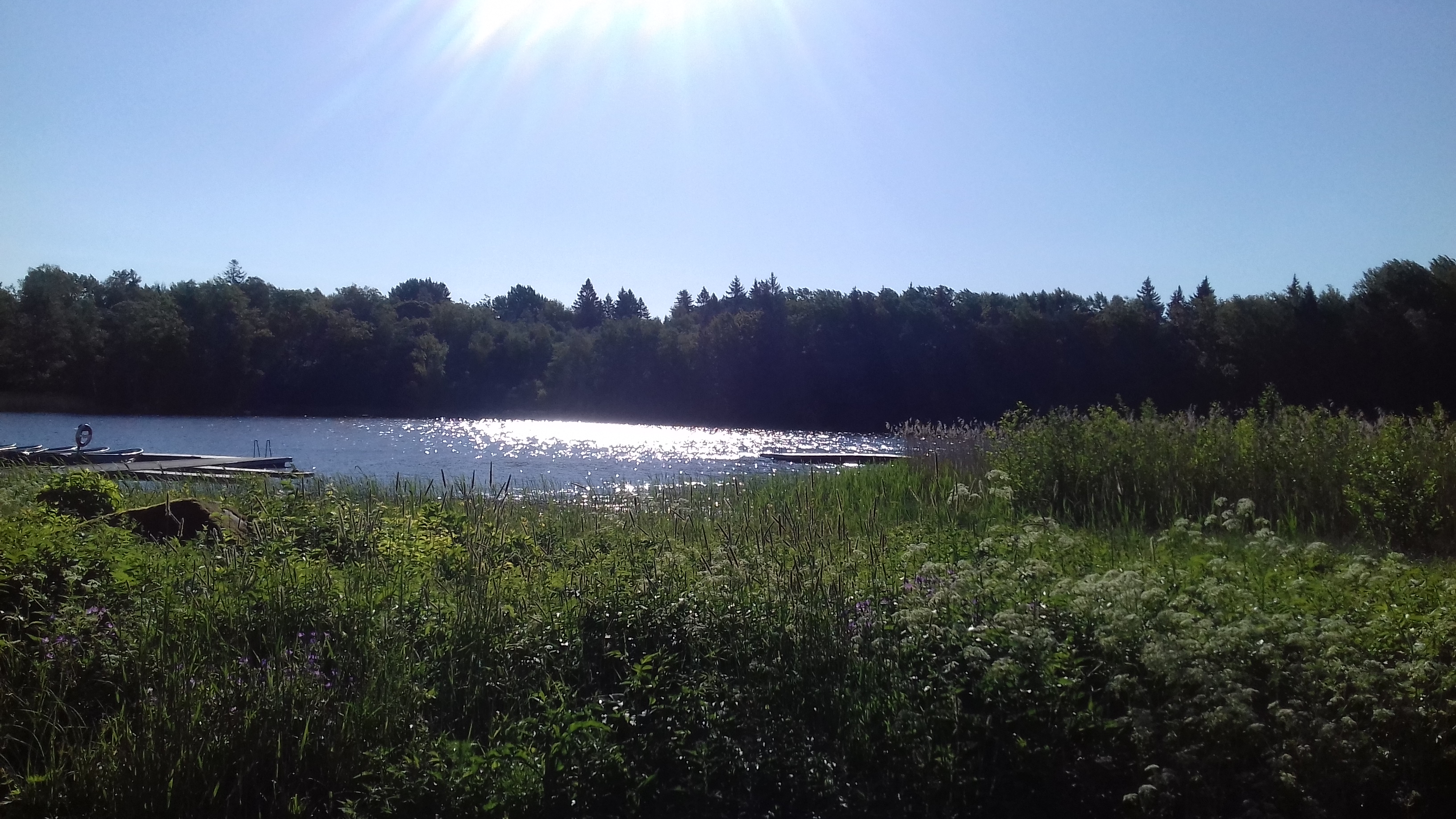 20190609_073419