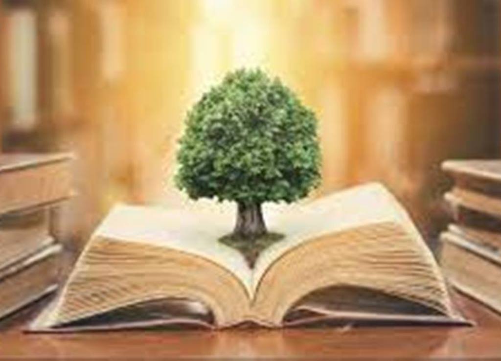 Knowledge Documentation