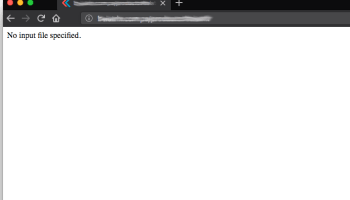 No input file specified