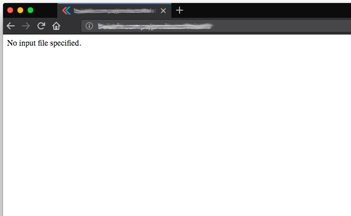 No input file specified