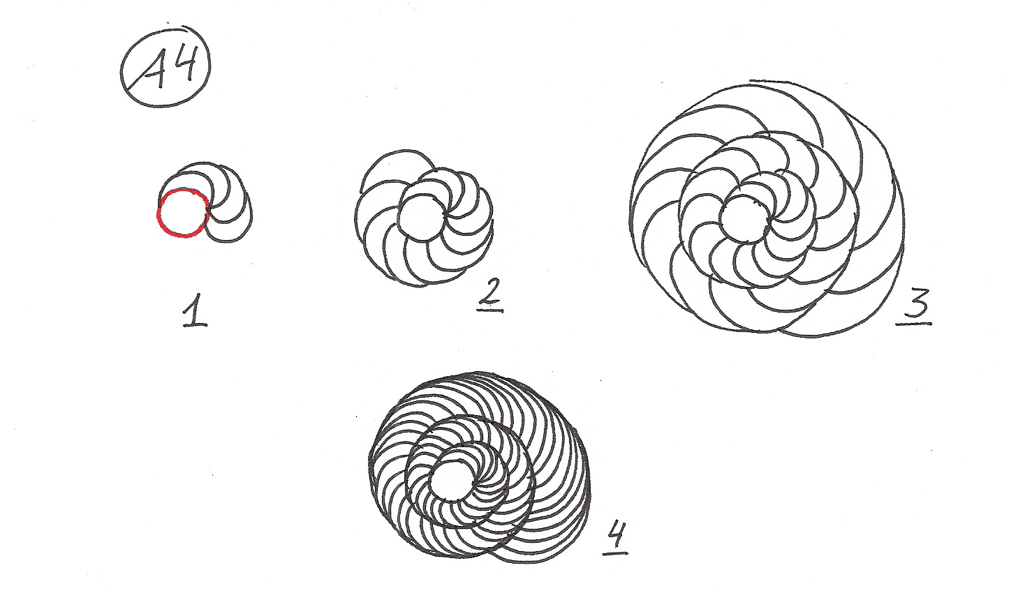 Anleitung Einen Torus Zeichnen Die Faszination Der Heiligen Geometrie