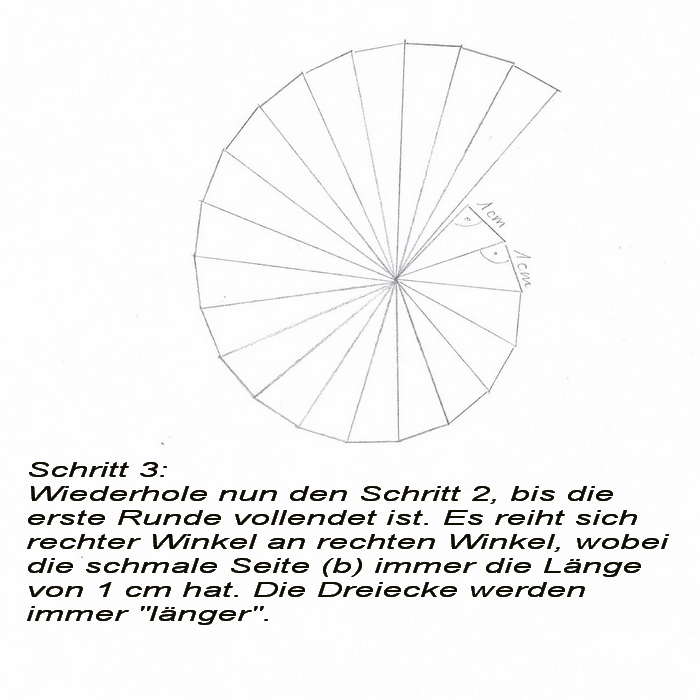 Muschel Vorlage Zeichnen Malbuch Nautilidae Farbe Spirale Muster Png Herunterladen 1280 1600 Kostenlos Transparent Nautilida Png Herunterladen