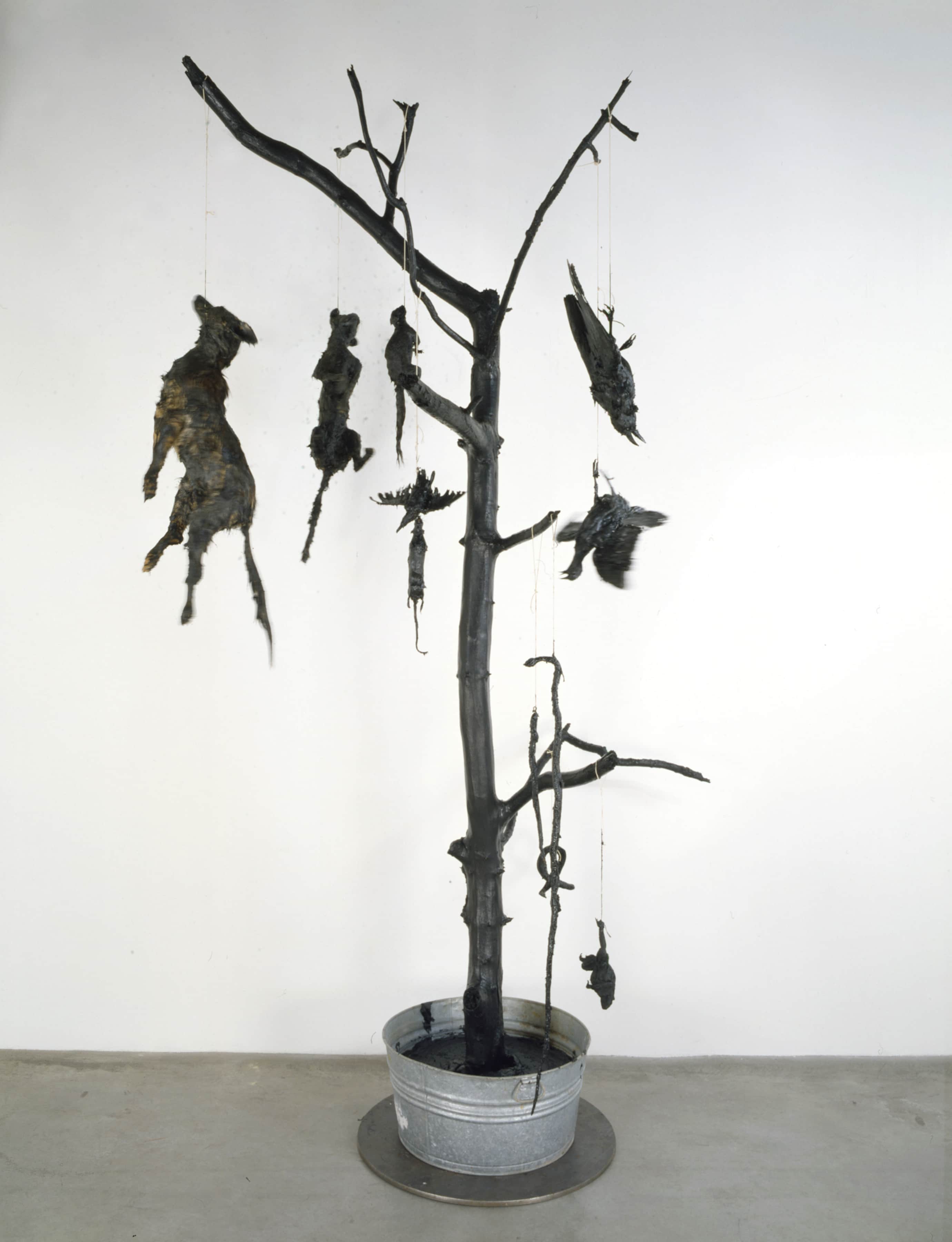 markdiontar_feathers KunstVensters