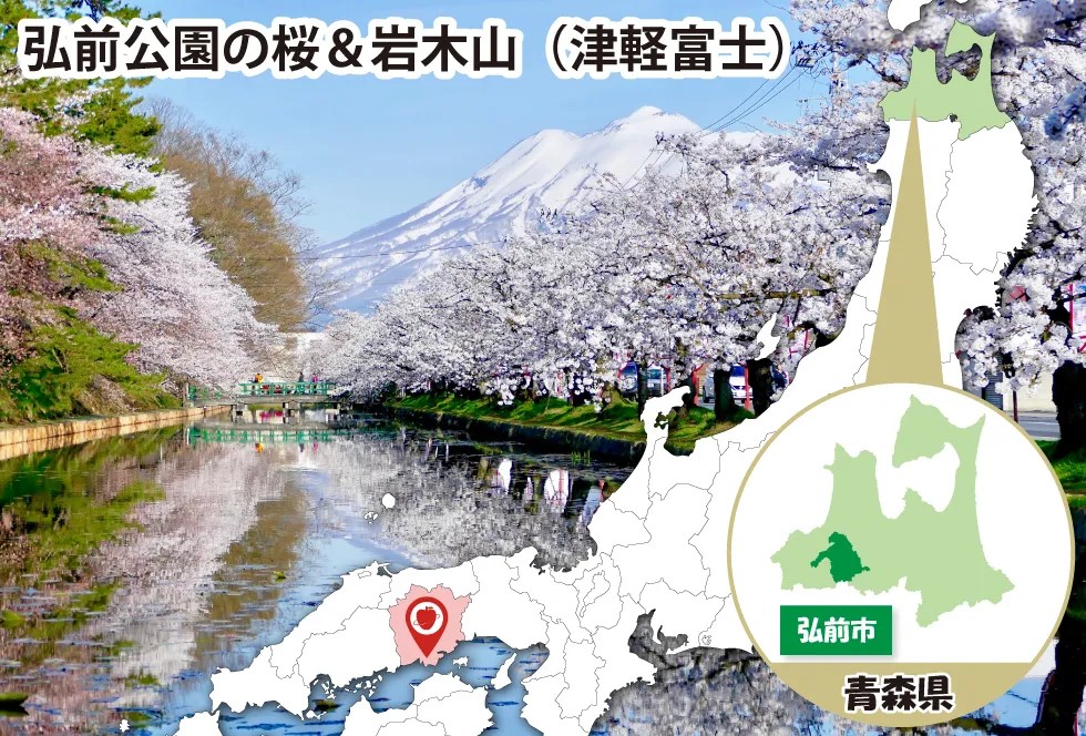 りんご生産量全国一位の青森県弘前市へ訪問いたしました
