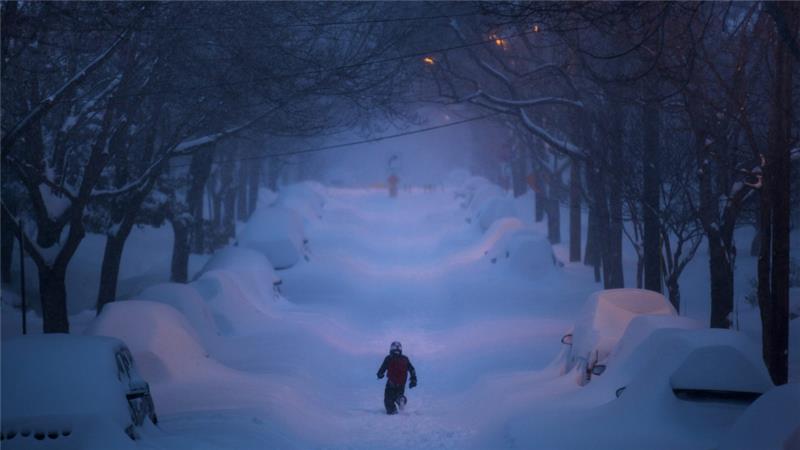 Tree Lined Street in New York, NY