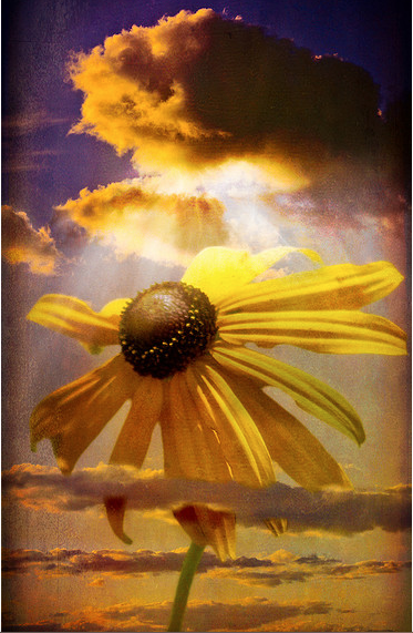 Divine Guidance