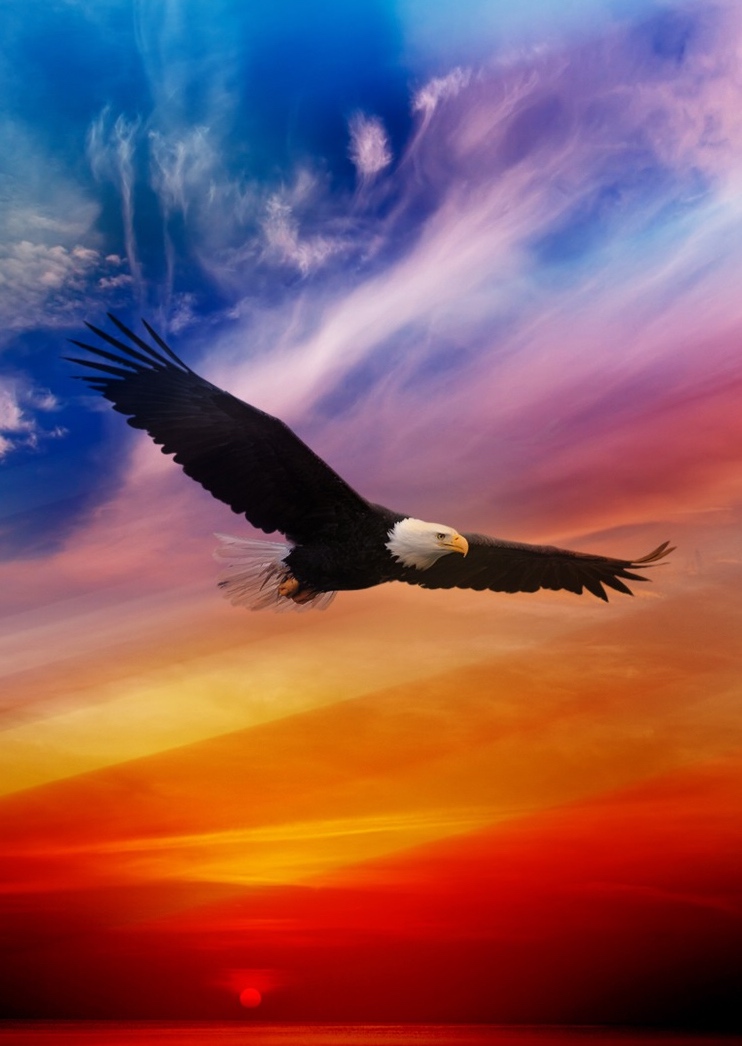 Flying Eagle