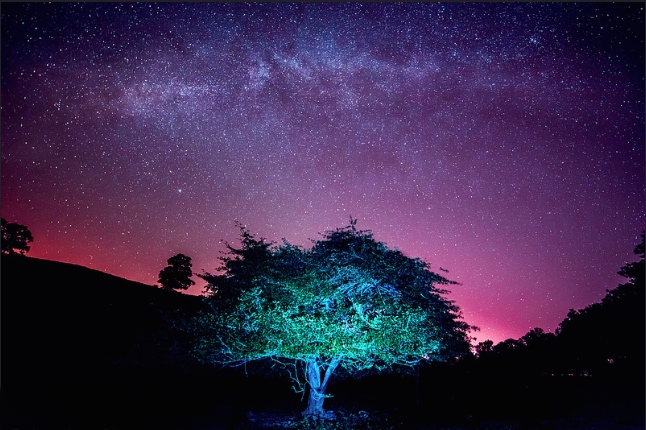 Night Sky