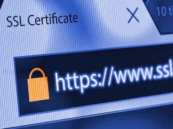 Na barra de endereço URL, tem que constar um cadeado informando que o site é seguro.