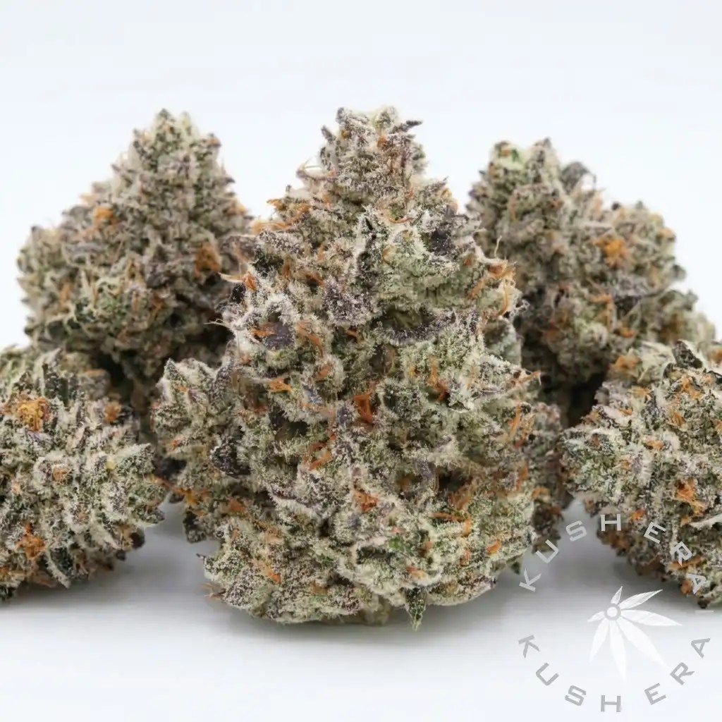 Divine Storm Hybrid Flower