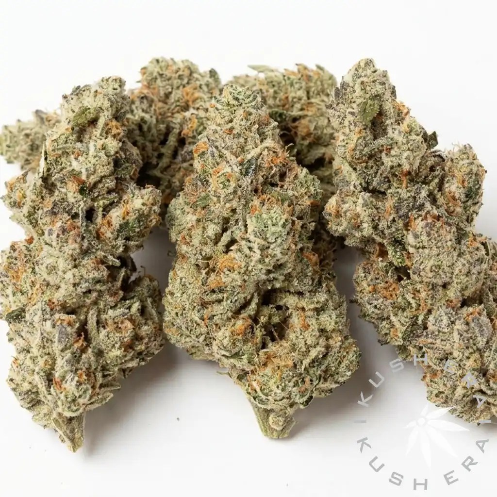 Ice Cream Mints Indica Flower