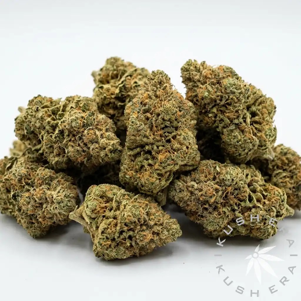 Gelato Mints Hybrid Flower