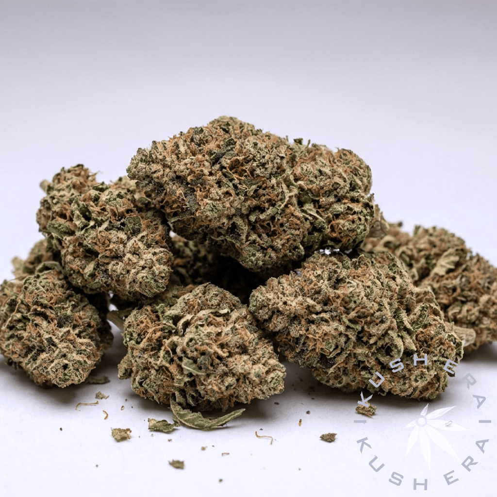 Horchata Hybrid Flower