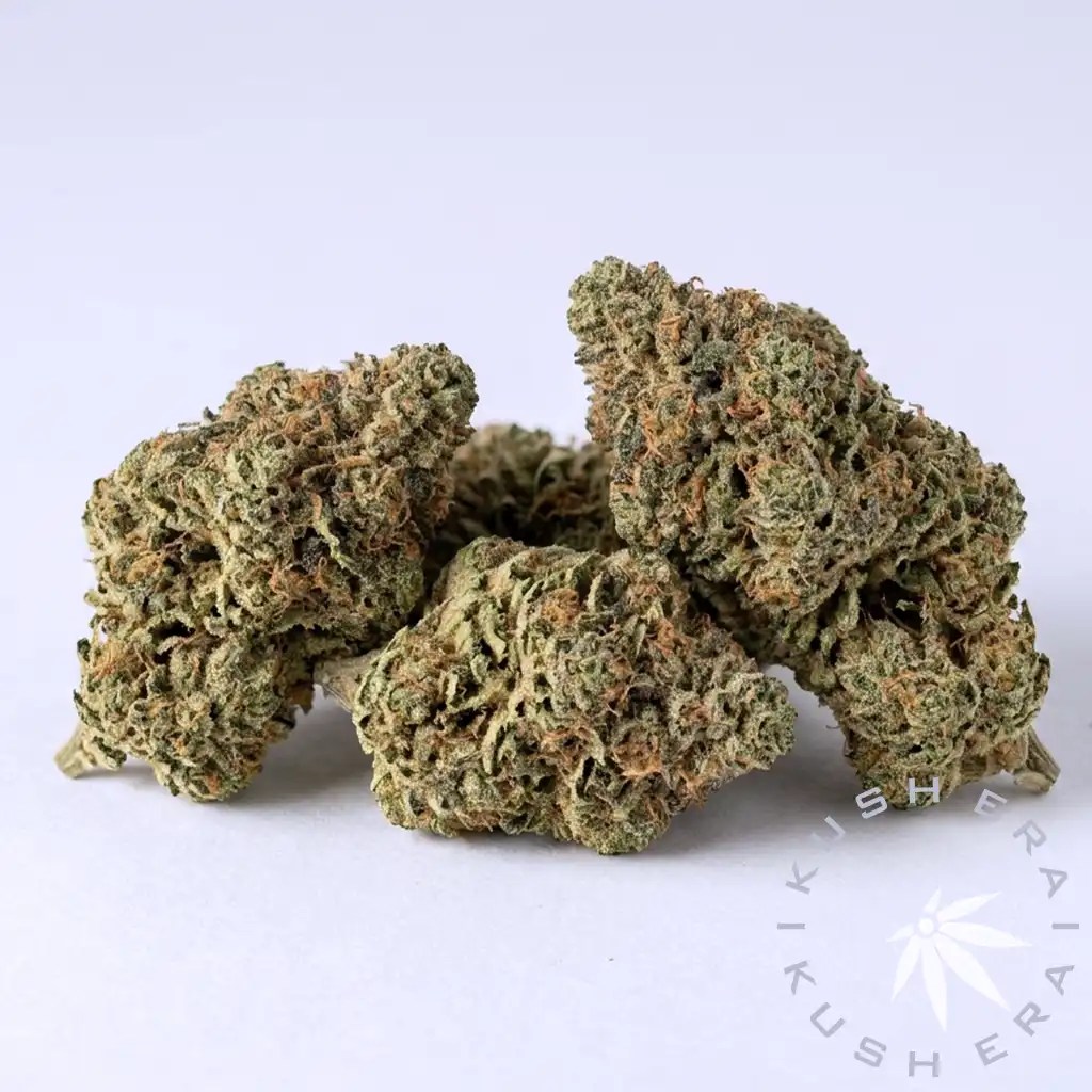 Pink Runtz Hybrid Flower