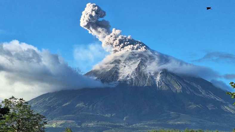 Mayon eruption widens farm toll as crop checks continue Mayon eruption widens farm toll as crop checks continue