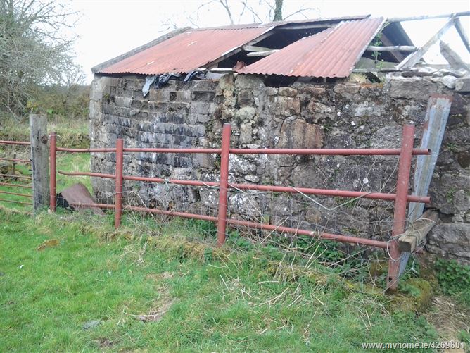 c. 11 acres Whiterock, Tinahely, Wicklow