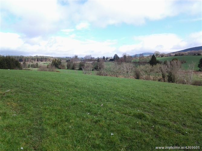 c. 11 acres Whiterock, Tinahely, Wicklow