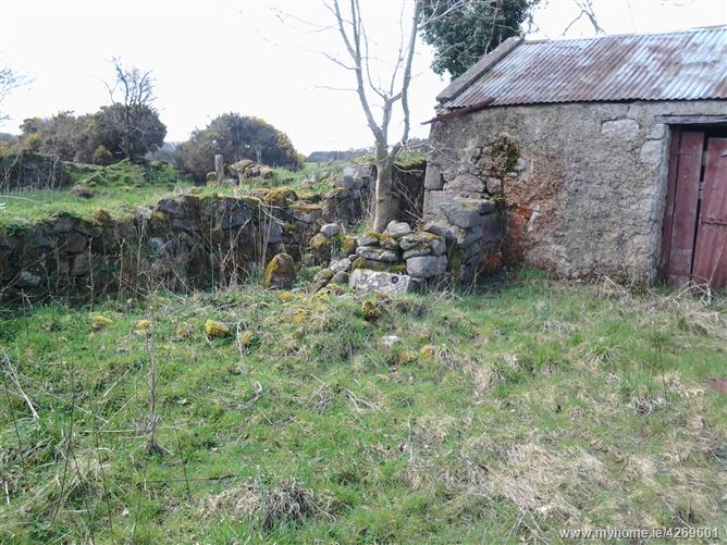 c. 11 acres Whiterock, Tinahely, Wicklow