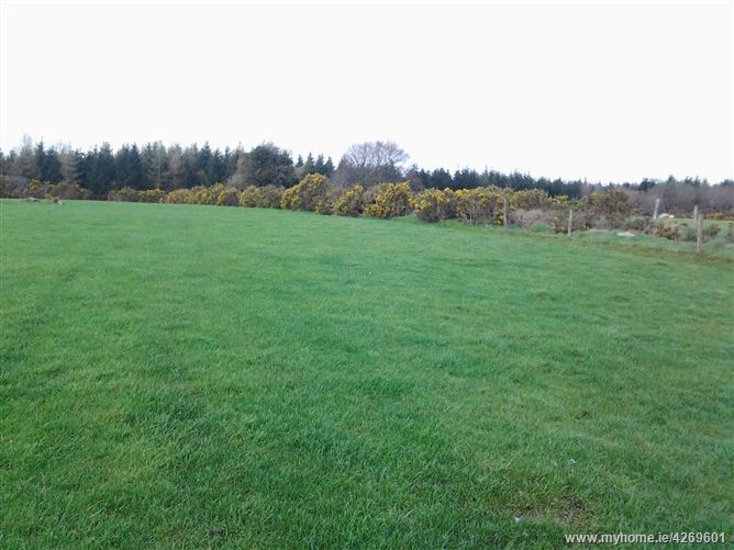c. 11 acres Whiterock, Tinahely, Wicklow