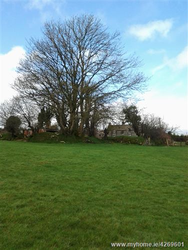 c. 11 acres Whiterock, Tinahely, Wicklow
