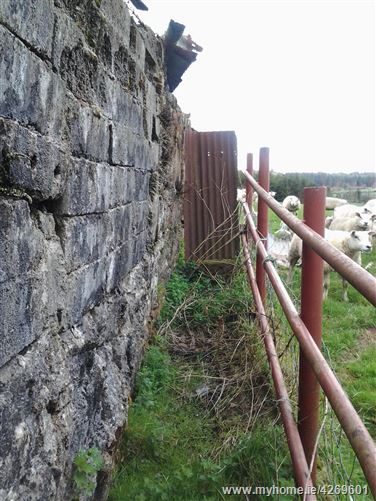 c. 11 acres Whiterock, Tinahely, Wicklow