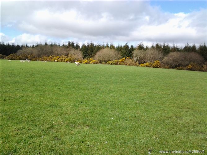 c. 11 acres Whiterock, Tinahely, Wicklow