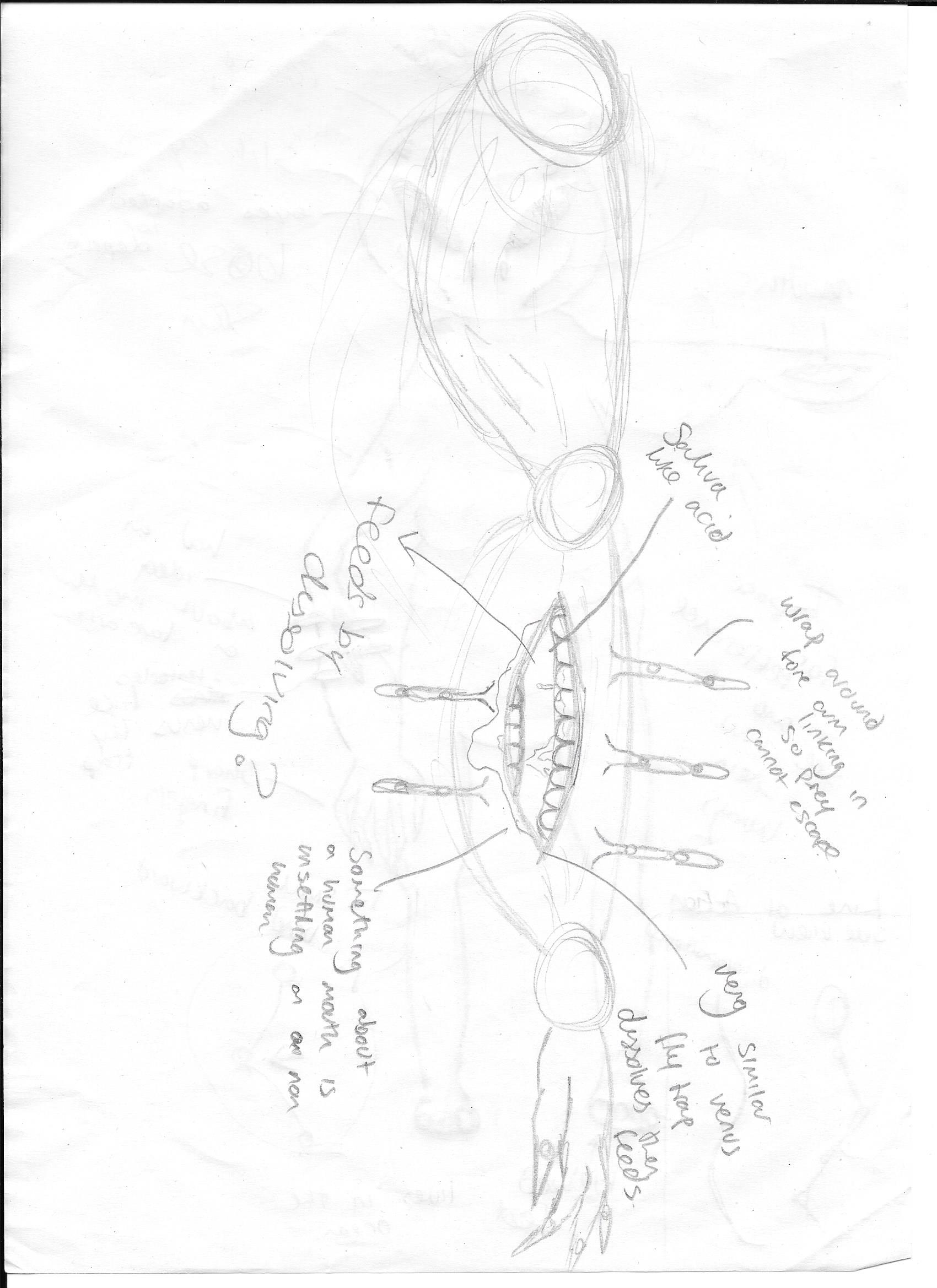Final creature concept art(2)