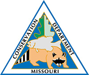 Department of Conservation to Hold Fishing Clinics