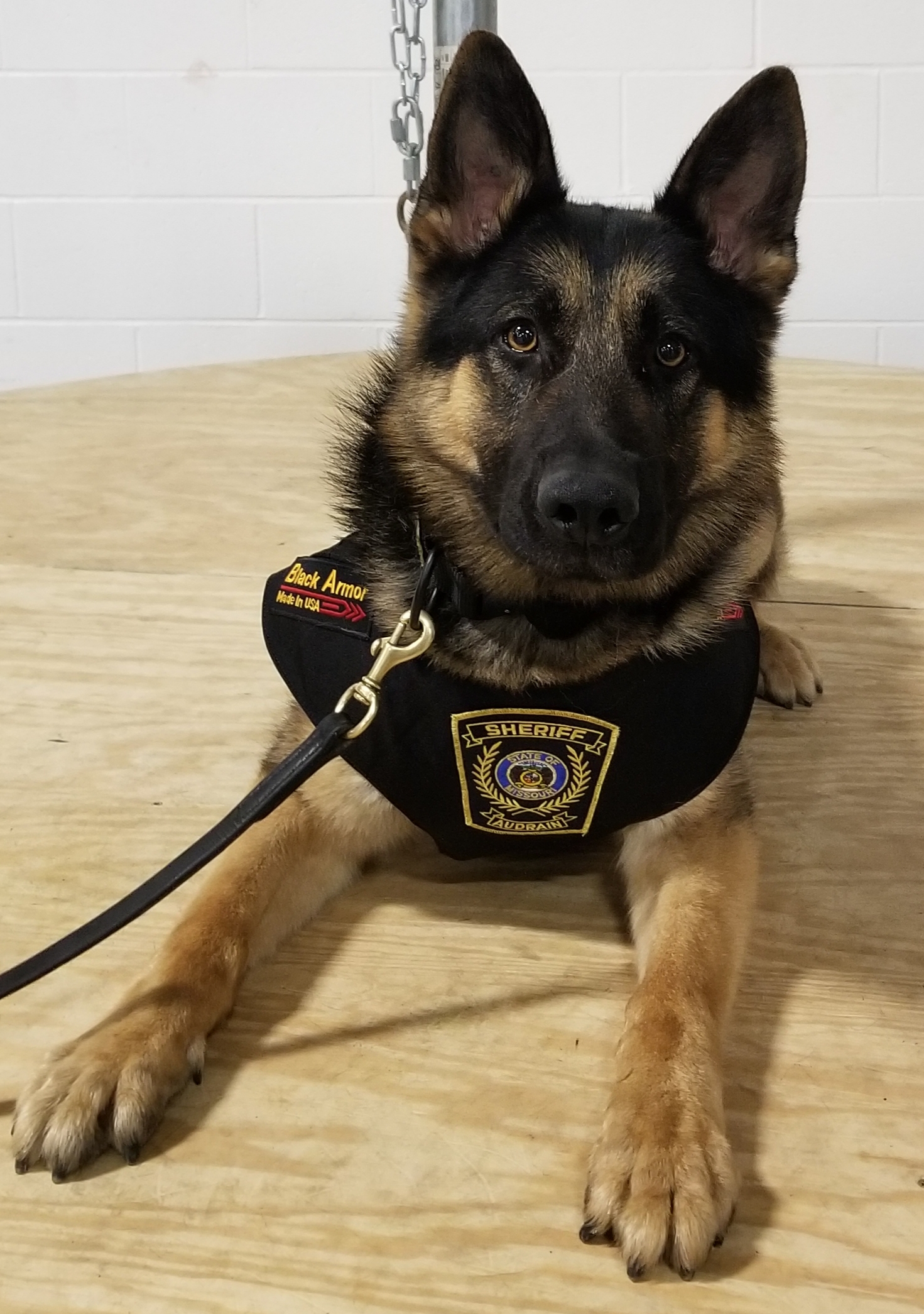 Audrain K9 Officer Gets New Vest