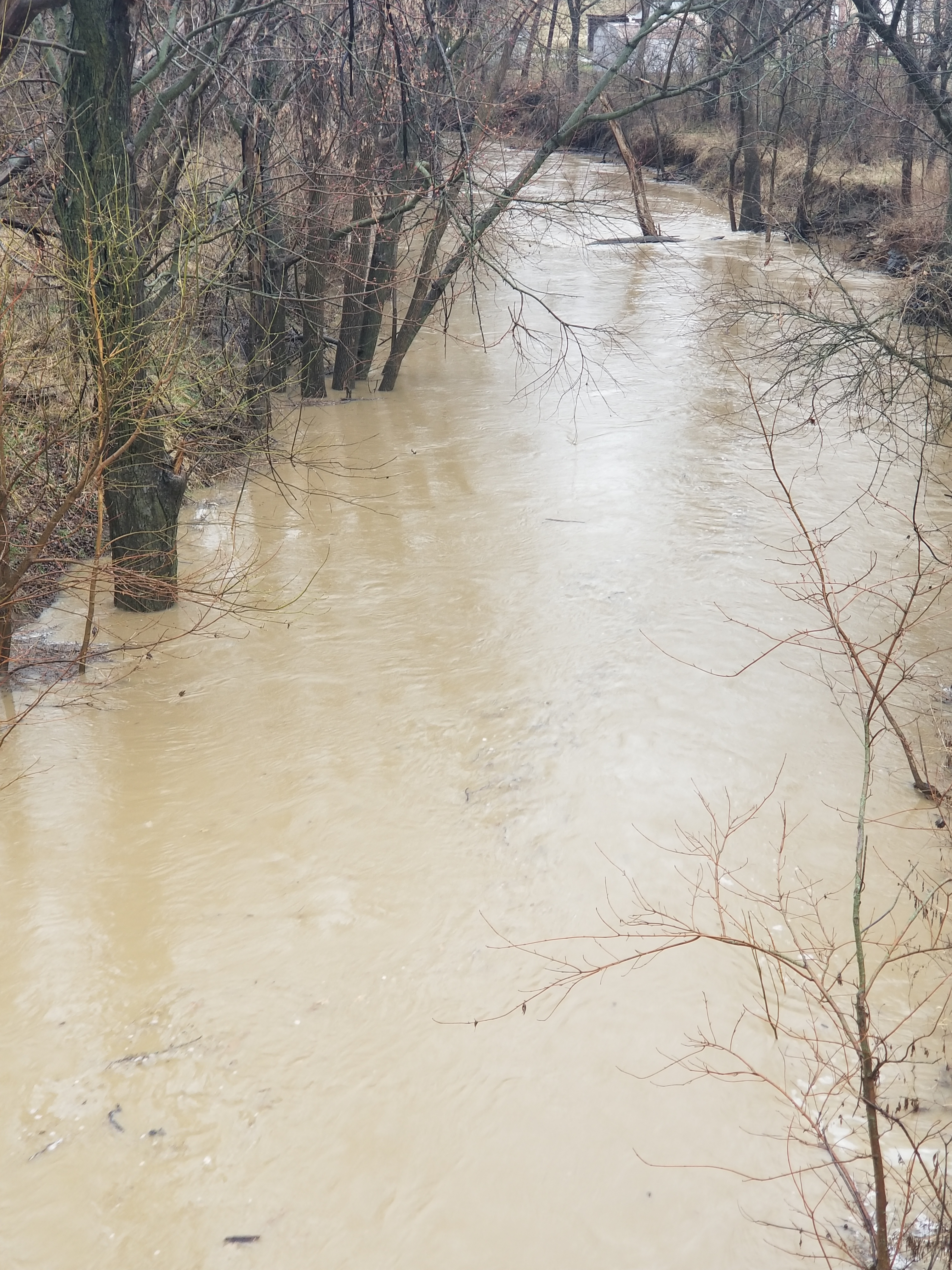 The Red Cross is Asking for Help to Support Residents Displaced by Floodwaters
